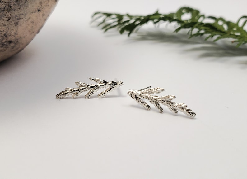 Juniper earrings in silver, Botanical jewelry image 2