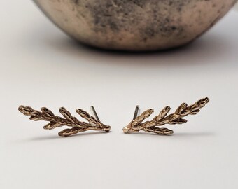 Juniper earrings in bronze