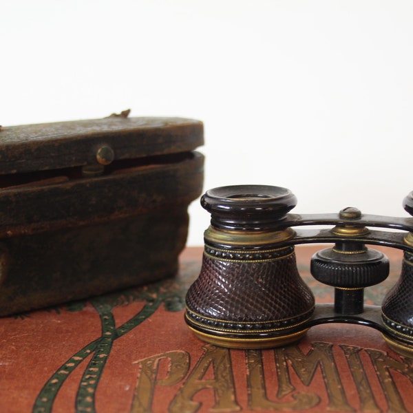 Antique small opera glasses, with original case, satin lined case, bronze, working, binoculars, magnifying glasses, early 20th century