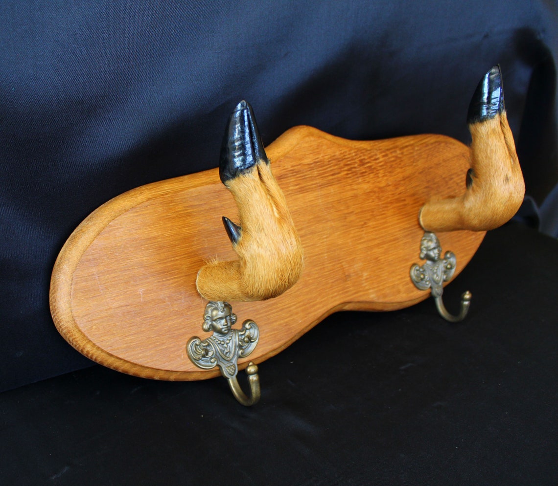 Vintage Deer Hoof Coat Rack Lodge Cabin Decor Taxidermy Etsy