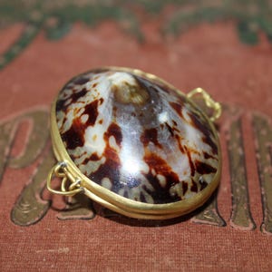 Vintage brass sea shell box, trinket box, hand made, jewelry box, hinged, pill box