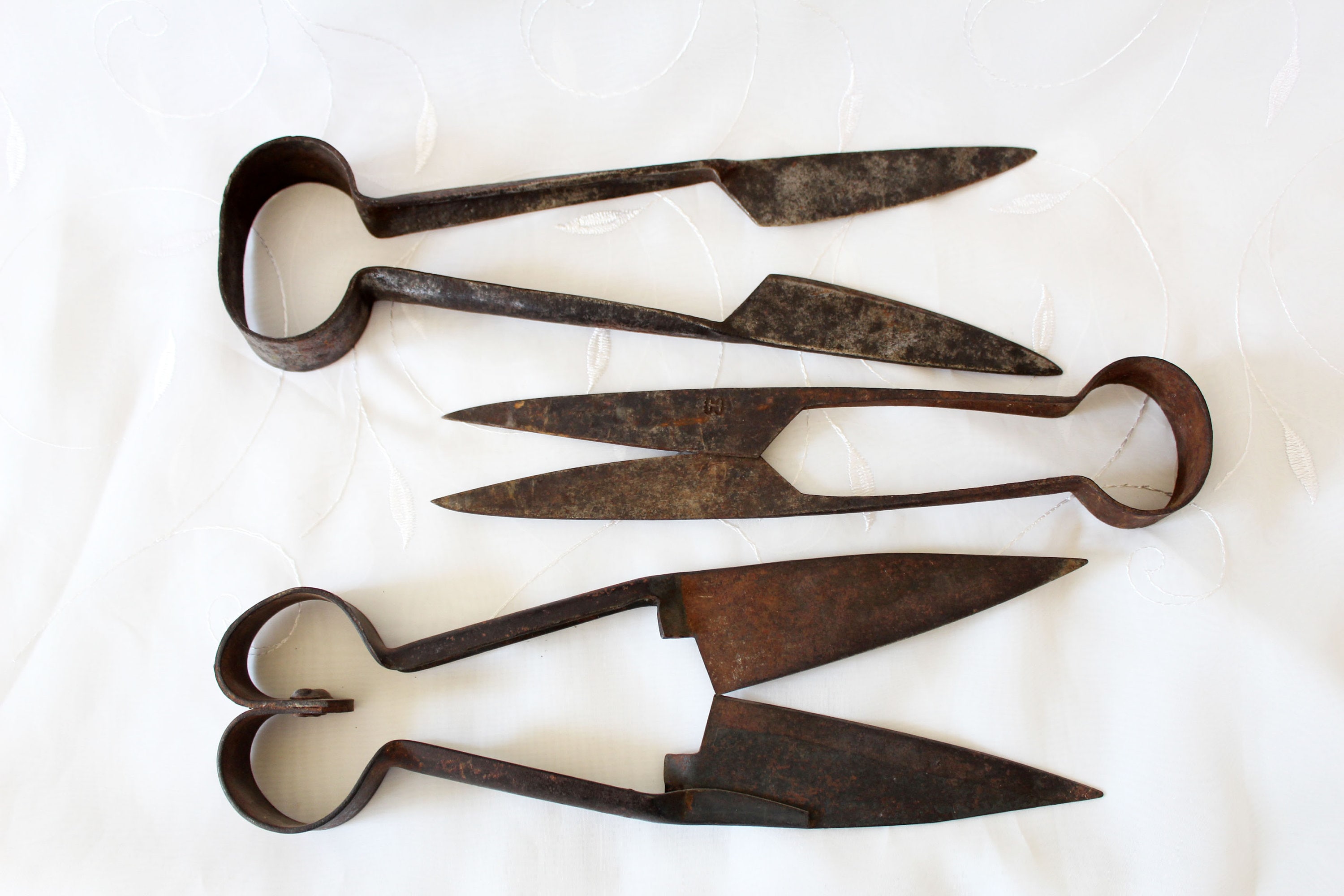 Sheep Shears Oster for sale Only 4 left at 75