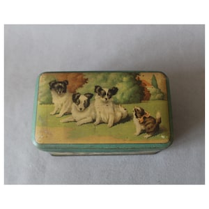Könnte beinhalten: Rechteckige Vintage-Blechdose mit hellblauem Rand. Der Deckel zeigt eine gemalte Szene von vier Hunden auf einer Wiese mit Bäumen und einem Haus im Hintergrund. Die Hunde sind weiß mit schwarzen und braunen Markierungen.