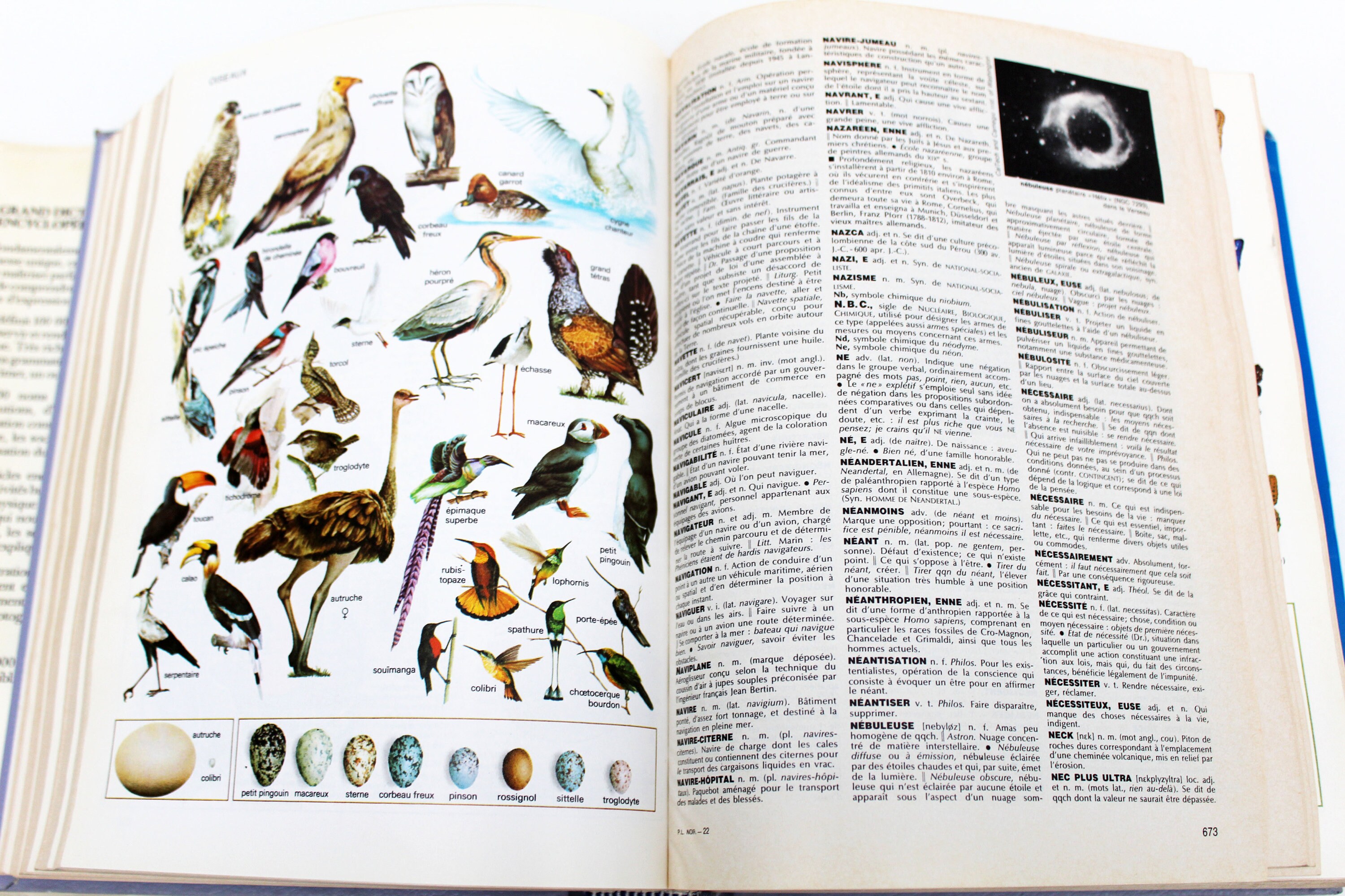 1987 Encyclopedia Dictionary French Larousse illustrated Etsy