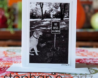 No Dogs Allowed greeting card, funny, sweet note card, thank you, thinking of you, nature, dog