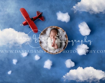 Newborn Airplane Digital Backdrop: Blue Cloud Plane (Digital Download)