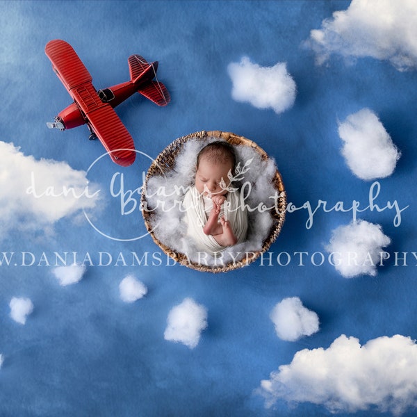 Newborn Airplane Digital Background / Plane Newborn Digital Backdrop / Blue Cloud Plane  Background / Bowl Newborn Backdrop /Plane Newborn