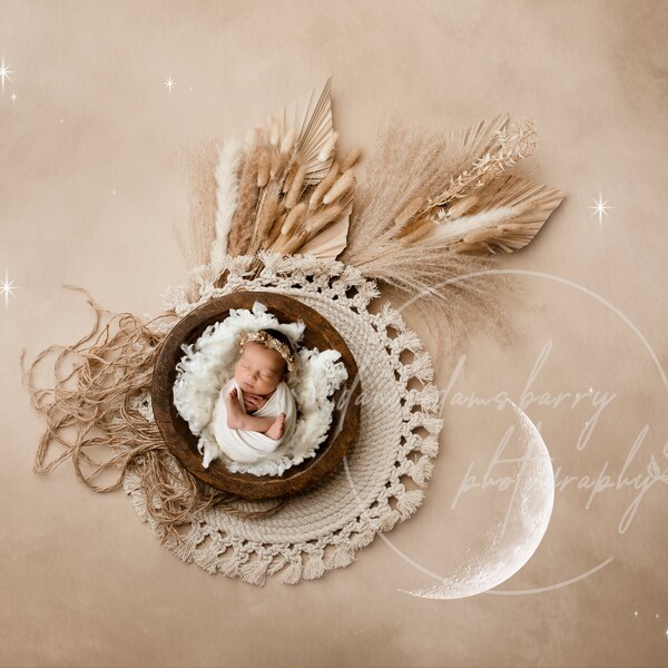 Cream Moon and Stars Newborn Digital Backdrop  (Crescent Moon Newborn Wood Bowl, Wool fluff, Boho textures and Painterly Cream background)