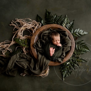 Newborn Woodland Digital Background / Watercolor Newborn Digital Backdrop / Fern Woodland Background / Bowl Newborn Backdrop / Green Digital