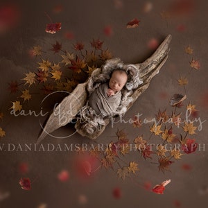 Fall Leaves Newborn Digital Background / 2 Autumn Newborn Digital Backdrops / Falling Leaves Background / Fall Backdrop/ Autumn Newborn Nest