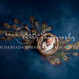 May include: A newborn baby sleeping in a wooden bowl surrounded by peacock feathers on a dark blue background. The text "dani adams barry photography" and "www.daniaadamsbarryphotography.com" is visible.