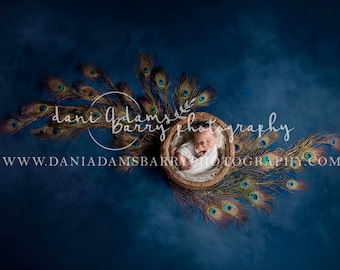Newborn Peacock Digital Backdrop: Blue Feather Bowl (Digital Download)