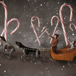 May include: Two children ride in a wooden sleigh pulled by two dogs. The sleigh is decorated with red and white candy canes. The children are holding candy canes and smiling. The dogs are brown and black and are wearing harnesses.