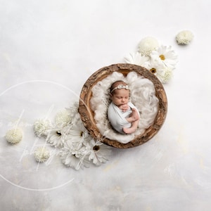 White Painterly  Daisy Flower Digital Newborn Background / Floral Newborn Digital Backdrop / Wood Bowl Background / Newborn Backdrop