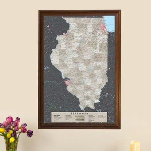 Personalized Earth Toned Illinois Push Pin Travelers' Map with Pins - Track Your Travels - Retirement Gift - Detailed State Wall Map
