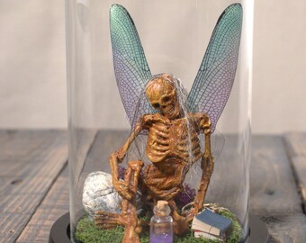 Mummified Fairie