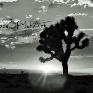 Mojave Desert Landscape Sunset 3 in Black and White