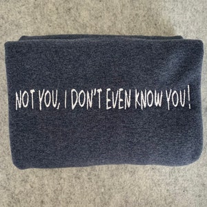Princess Diaries Not You, I Don’t Even Know You Embroidered Sweatshirt
