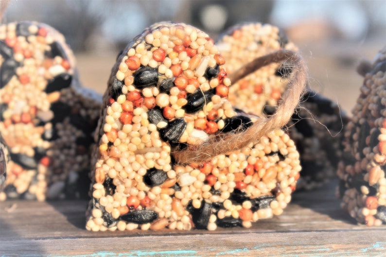 Rustic Wedding Favors Bridal Shower Wedding Favors Farmhouse Bridal shower Favors Bird Seed Heart Love Bird Ornaments