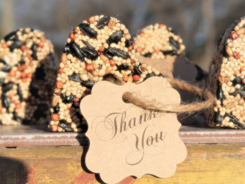 Rustic Wedding Favors Bridal Shower Wedding Favors Farmhouse Bridal shower Favors Bird Seed Heart Love Bird Ornaments