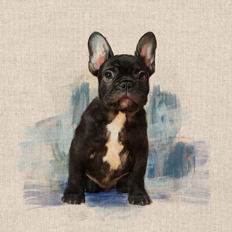 Make Your Own Cushion Cover Kit. French Bulldog DCP017K Etsy