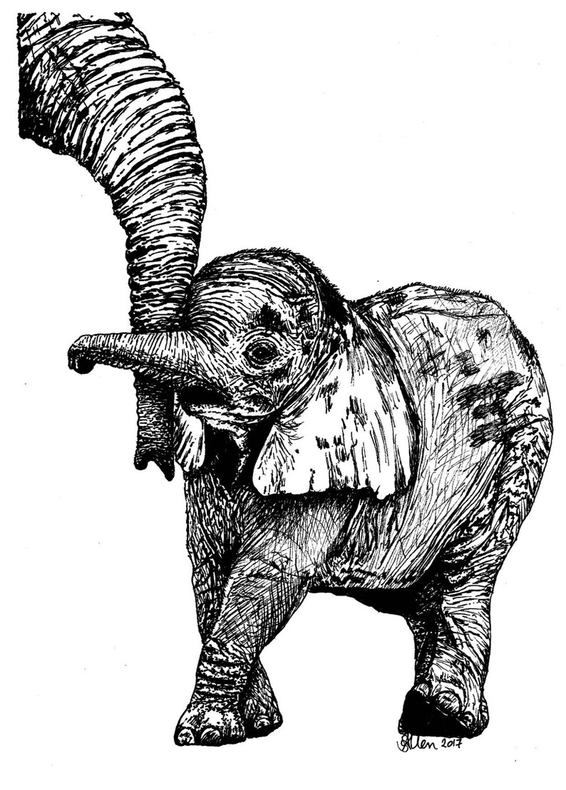 Baby Elephant Walking With Mom Nursery Art Pen And Ink Etsy
