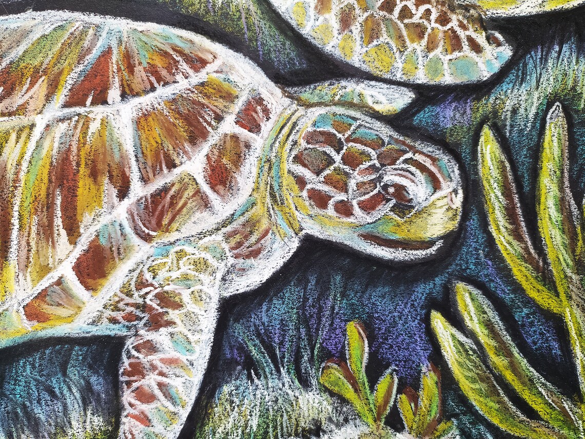 Turtles seaunderwater worldPortrait Animal Oil Pastel Etsy