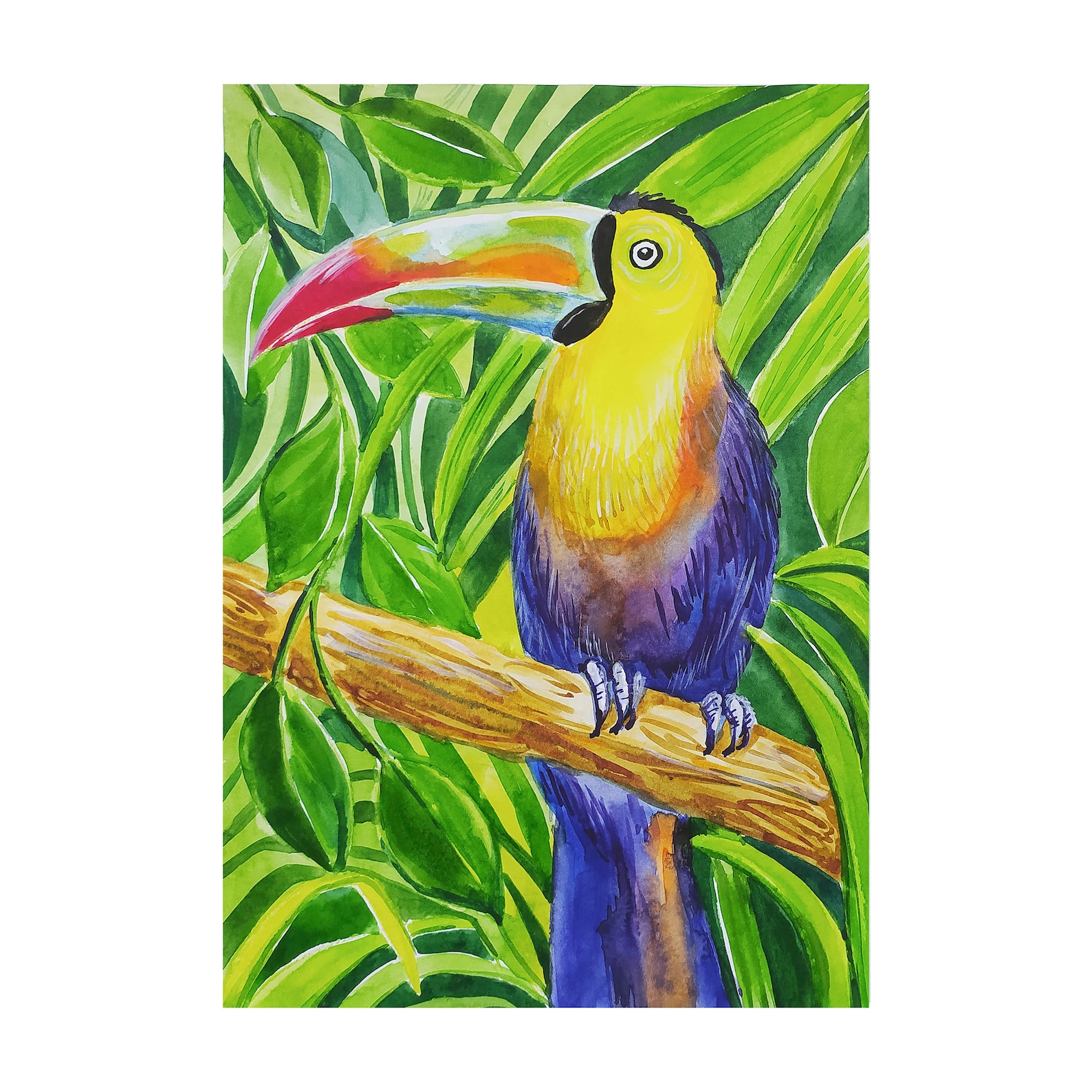 Toucan Painting Tropical Bird Jungle Picture Original Art Etsy Toucan Painting Tropical Bird Jungle Picture Original Art Etsy