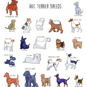 Poster of AKC Terrier Group