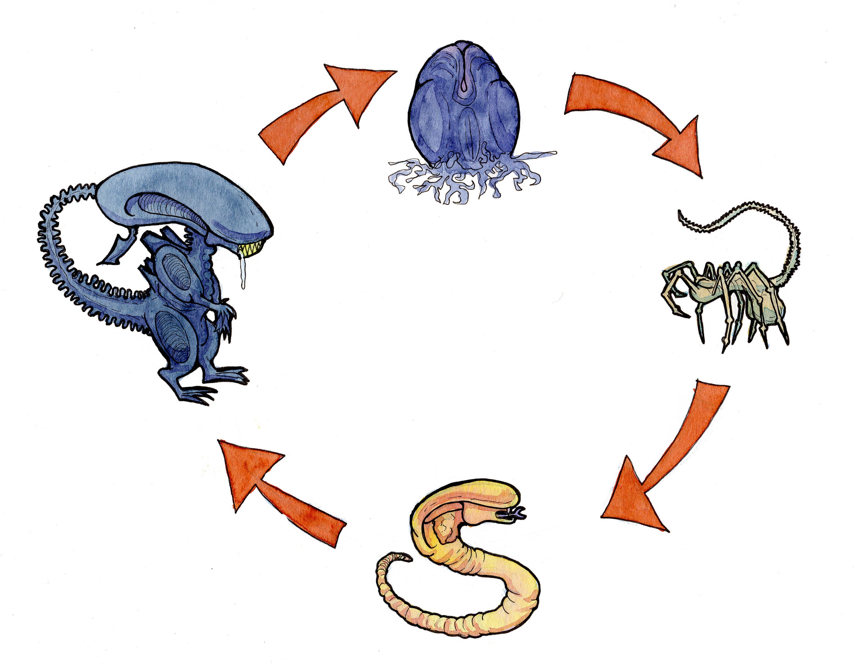 Life Cycle of Xenomorphs Watercolor Print Etsy Hong Kong