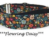 Martingale Dog Collar, Martingale Buckle Collar, Daisy Dog Collar, Blue Floral Martingale Dog Collar, Orange Martingale, Flowering Daisy