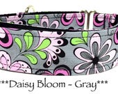 Martingale Dog Collar, Pink Daisy Dog Collar, Pink Daisy Martingale Dog Collar, Buckle Martingale Dog Collar, Blooms, Daisies, Girl, Gray