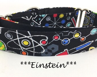 einstein collar