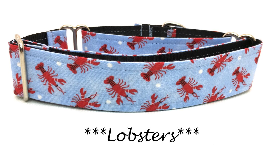 Martingale Dog Collar Lobster Dog Collar Blue Lobster Etsy