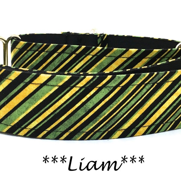 Martingale Dog Collar or Buckle Dog Collar or Buckle Mart or Chain Martingale, Green and Gold Striped Dog Collar, Liam