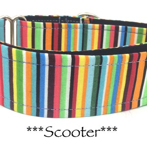 Martingale Dog Collar or Buckle Dog Collar or Buckle Mart or Chain Martingale, Fun Colorful striped Dog Collar, Scooter