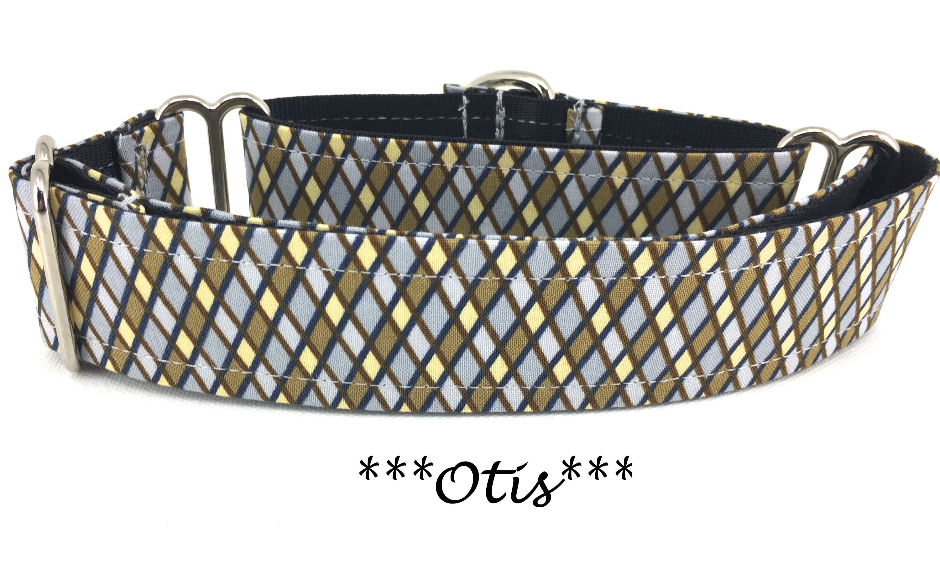 Otis  Fi Smart Dog Collar