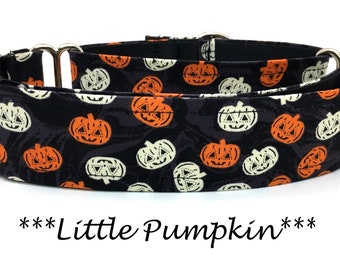 Pumpkin Martingale Dog Collar or Halloween Dog Collar or Halloween Martingale Dog Collar or Halloween Pumpkin Martingale, Little Pumpkins