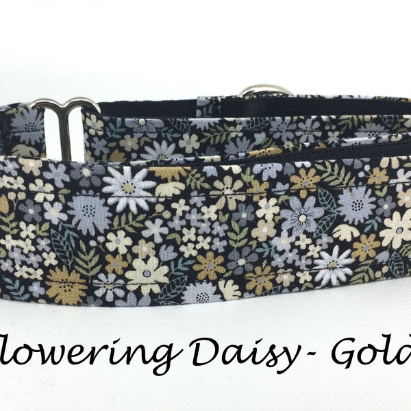 Martingale Dog Collar or Buckle Dog Collar or Buckle Mart or Chain Martingale, Silver, White, Gold, Flowering Daisy - Gold