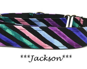 May include: A black dog collar with a colorful striped pattern in shades of pink, purple, blue, and green. The collar has silver hardware and the text "***Jackson***" is printed below the collar.