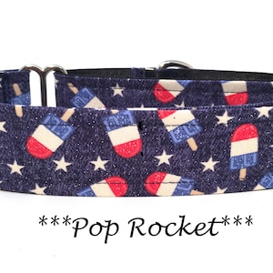 Martingale Dog Collar or Buckle Dog Collar or Buckle Mart or Chain Martingale, 4th of July Dog Collar, Summer Dog Collar, Pop Rocket