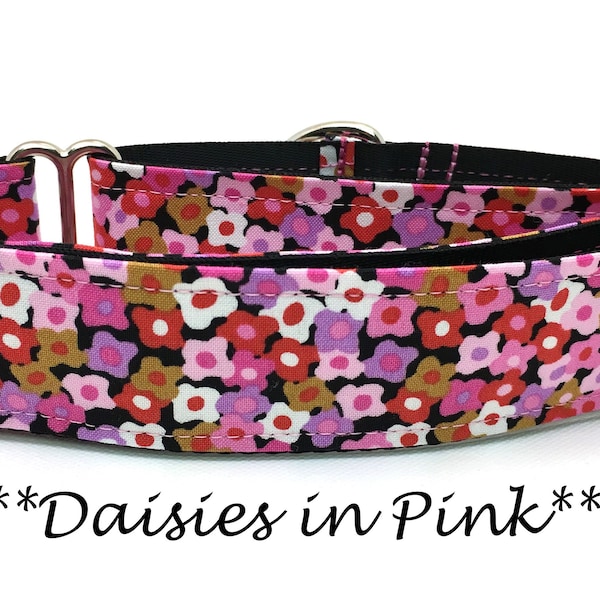 Martingale Dog Collar or Buckle Dog Collar or Buckle Mart or Chain Martingale, Pink, Gold, White, Red, Purple Floral- Daisies in Pink