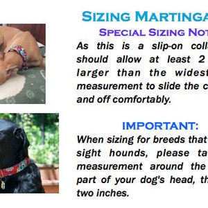 Peut inclure: Deux chiens portant des colliers martingales. Le texte sur l'image indique "Sizing Martingales" et comprend des instructions pour le dimensionnement des colliers. Le texte indique "Note de dimensionnement sp&eacute;ciale&nbsp;: Comme il s'agit d'un collier &agrave; enfiler, vous devez pr&eacute;voir au moins 5&nbsp;cm de plus que la mesure de la t&ecirc;te la plus large pour que le collier puisse &ecirc;tre enfil&eacute; et retir&eacute; confortablement." et "IMPORTANT&nbsp;: Lorsque vous dimensionnez pour les races qui ne sont pas des l&eacute;vriers, veuillez prendre la mesure autour de la partie la plus large de la t&ecirc;te de votre chien, puis ajouter 5&nbsp;cm."
