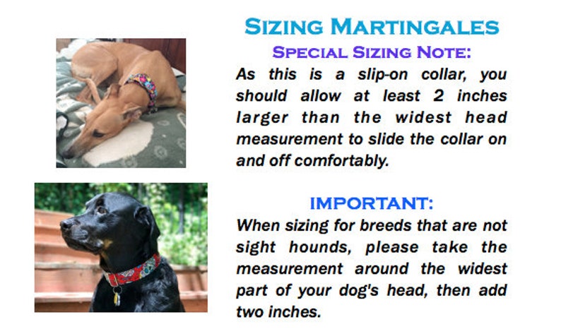 Peut inclure: Deux chiens portant des colliers martingales. Le texte sur l'image indique "Sizing Martingales" et comprend des instructions pour le dimensionnement des colliers. Le texte indique "Note de dimensionnement sp&eacute;ciale&nbsp;: Comme il s'agit d'un collier &agrave; enfiler, vous devez pr&eacute;voir au moins 5&nbsp;cm de plus que la mesure de la t&ecirc;te la plus large pour que le collier puisse &ecirc;tre enfil&eacute; et retir&eacute; confortablement." et "IMPORTANT&nbsp;: Lorsque vous dimensionnez pour les races qui ne sont pas des l&eacute;vriers, veuillez prendre la mesure autour de la partie la plus large de la t&ecirc;te de votre chien, puis ajouter 5&nbsp;cm."