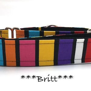 Martingale Dog Collar or Buckle Dog Collar or Buckle Mart or Chain Martingale, Bright, striped dog collar,  Dog Collar, Britt