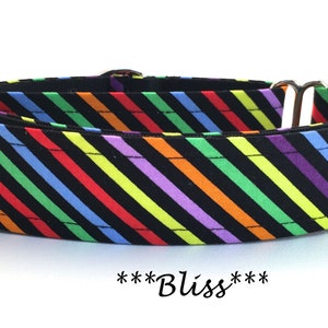 Martingale Dog Collar or Buckle Dog Collar or Buckle Mart or Chain Martingale, Red Yellow, orange, blue, green black, bright stripes- Bliss