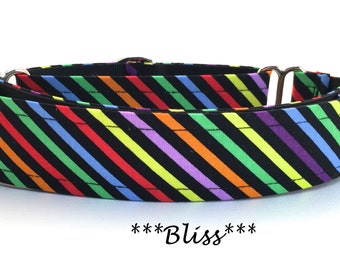 Martingale Dog Collar or Buckle Dog Collar or Buckle Mart or Chain Martingale, Red Yellow, orange, blue, green black, bright stripes- Bliss