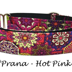 Martingale Dog Collar or Buckle Dog Collar or Buckle Mart or Chain Martingale, Pink Purple yellow lime green bursts geometric Prana Hot Pink