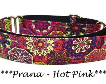 Martingale Dog Collar or Buckle Dog Collar or Buckle Mart or Chain Martingale, Pink Purple yellow lime green bursts geometric Prana Hot Pink