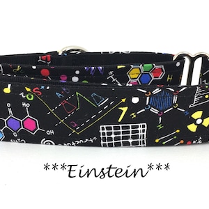 Martingale Dog Collar or Buckle Dog Collar or Buckle Mart or Chain Martingale, Organic chemistry, beakers, periodic table, Einstein